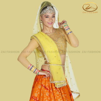 Bollywood Costume